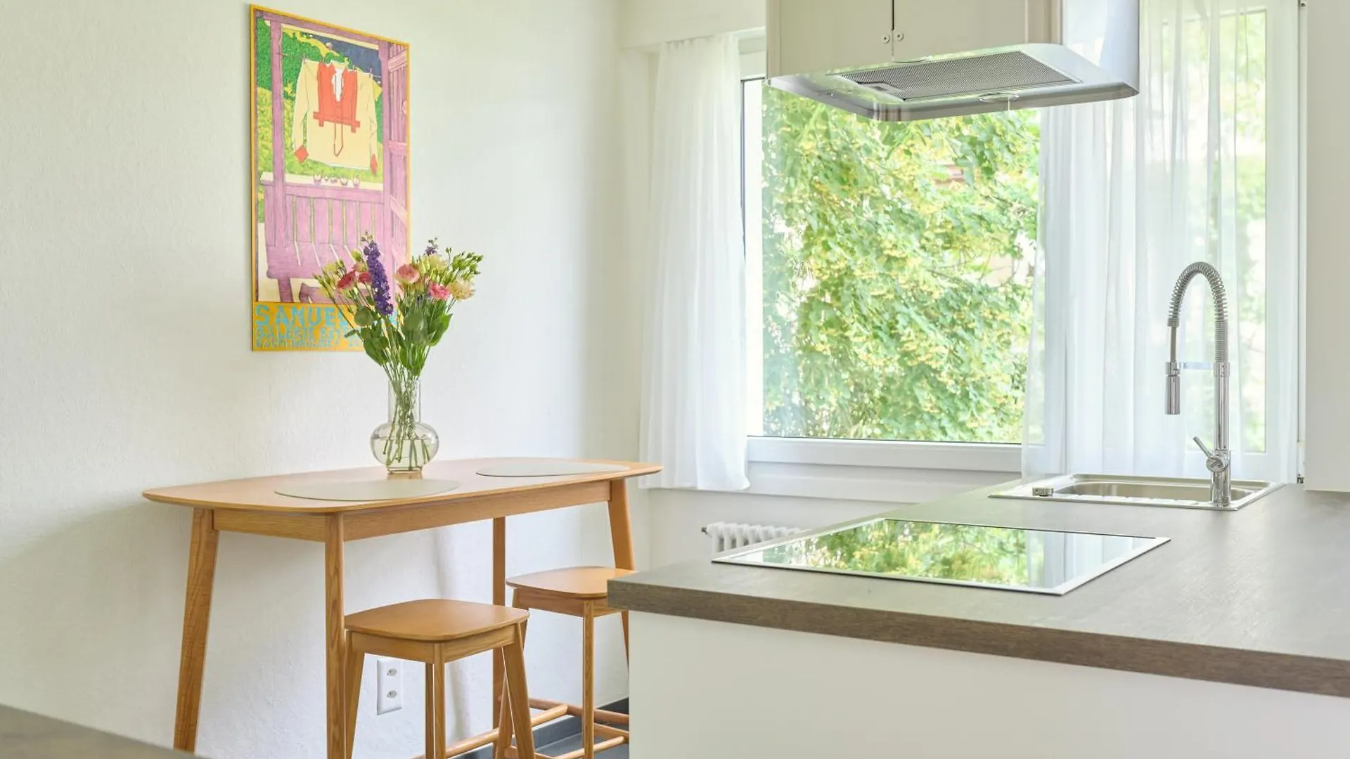 Stylish 2 Room Apartment In St Johann Basel 0*,